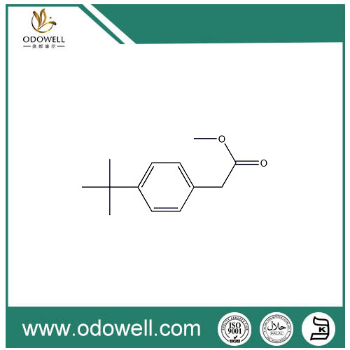 Metyl P-Tert-butylfenylacetat