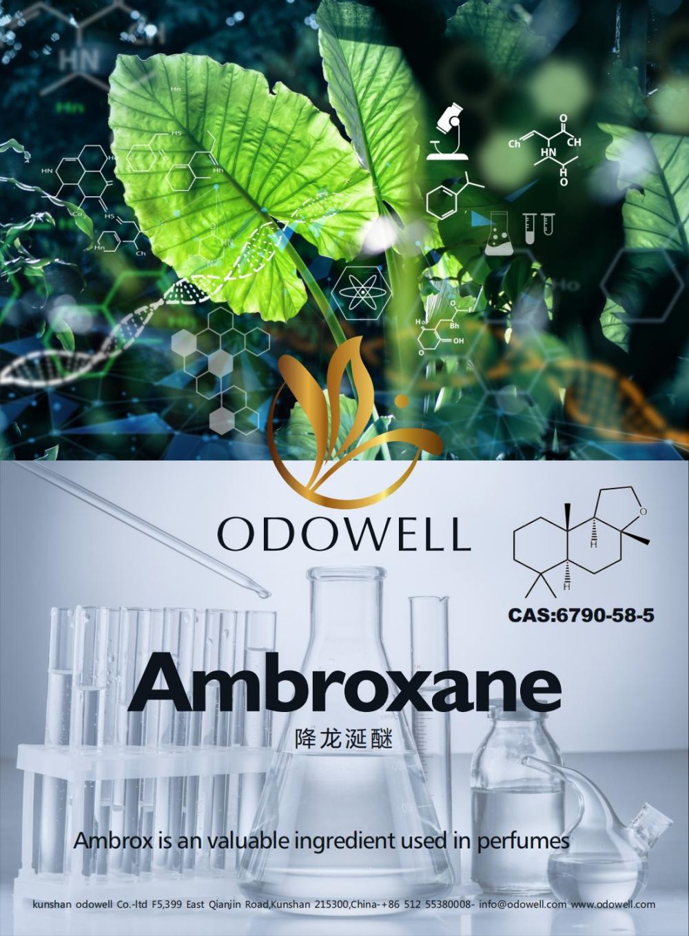 Odowell feirer et vellykket år for Ambroxane (Ambrox)