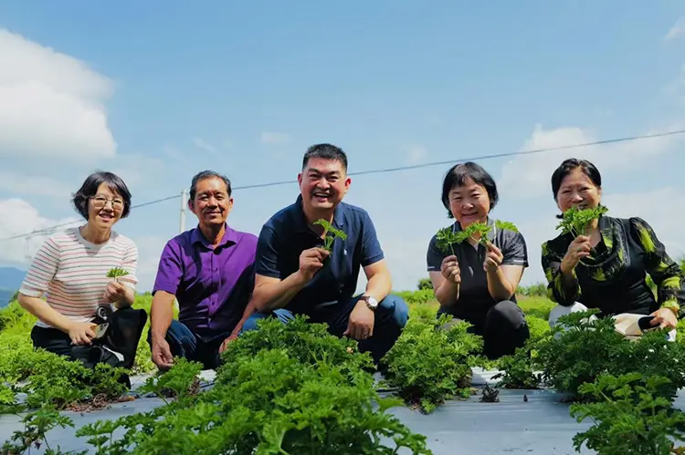 Odowells Yunnan Research and Study Tour i august 2025