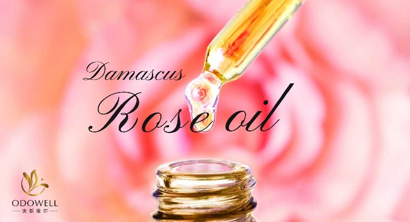 Odowell lanserer Premium Natural Damascus Rose Oil