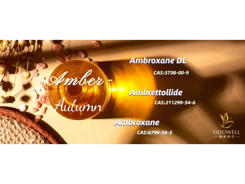 Hva er de beste kjønnsnøytrale duftene for 2025