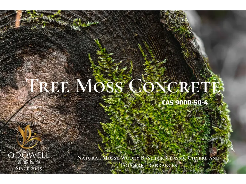 Tree Moss Concrete – ODOWELLs naturlige mose-treaktige base for klassiske Chypre og Fougère dufter