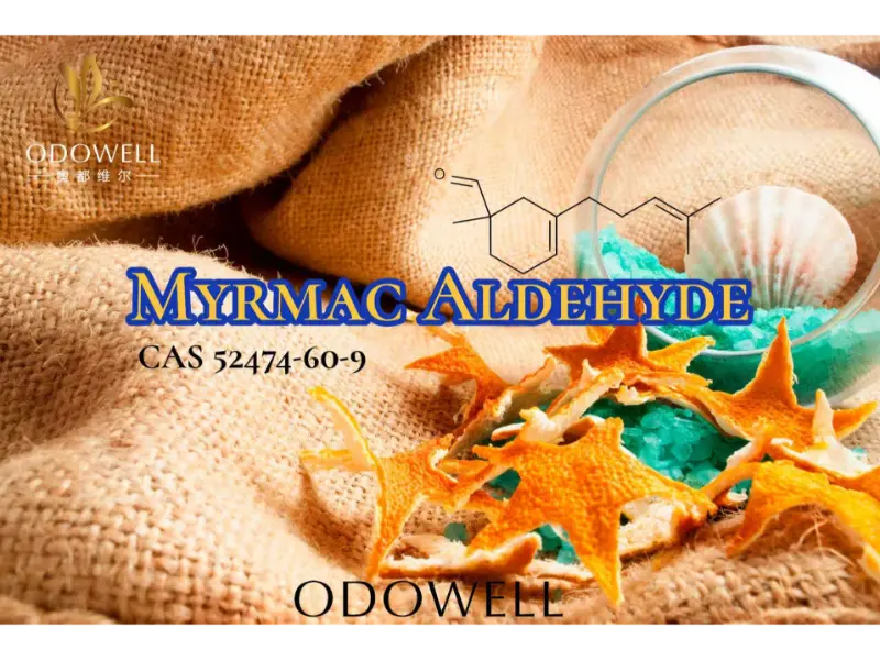 Myrmac Aldehyde – ODOWELLs ozoniske marine aldehyde for friske utendørsdufter