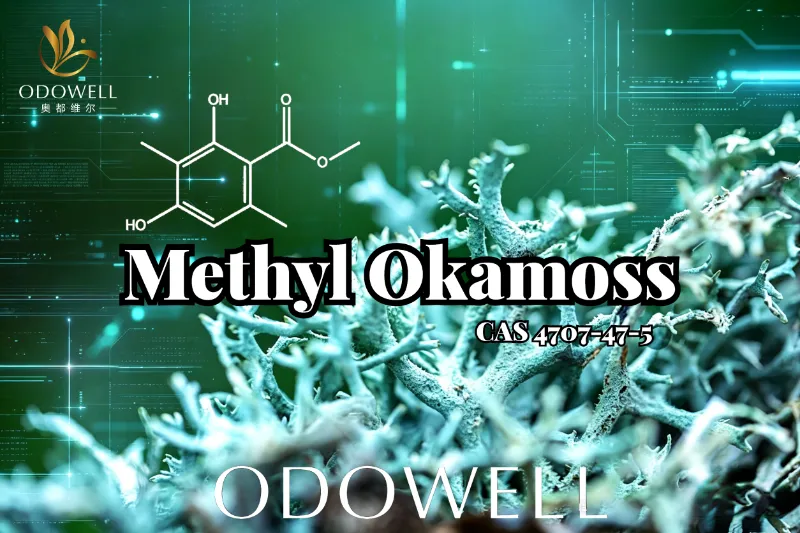 ODOWELL introduserer Methyl Okamoss: Autentisk syntetisk eikemose for Chypre og Fougère Mastery
