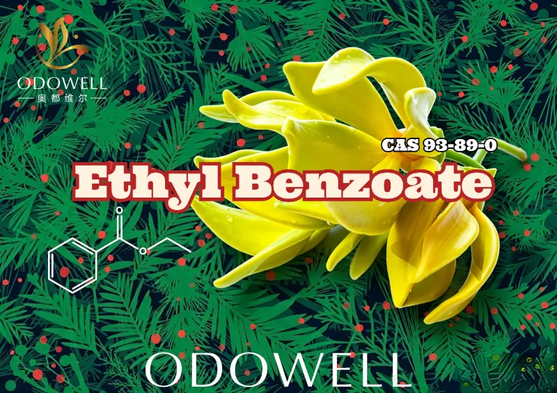 ODOWELL lanserer Ethyl Benzoate: Warm Wintergreen-Ylang Ester for floral og orientalsk eleganse